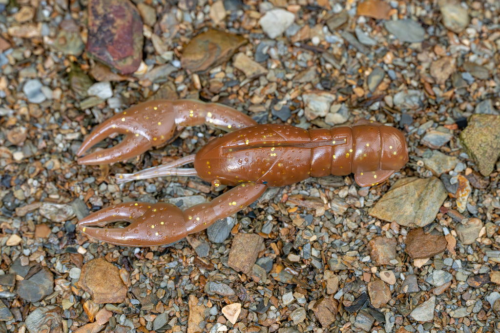 Small brown crayfish on a bed of small stones and pebbles