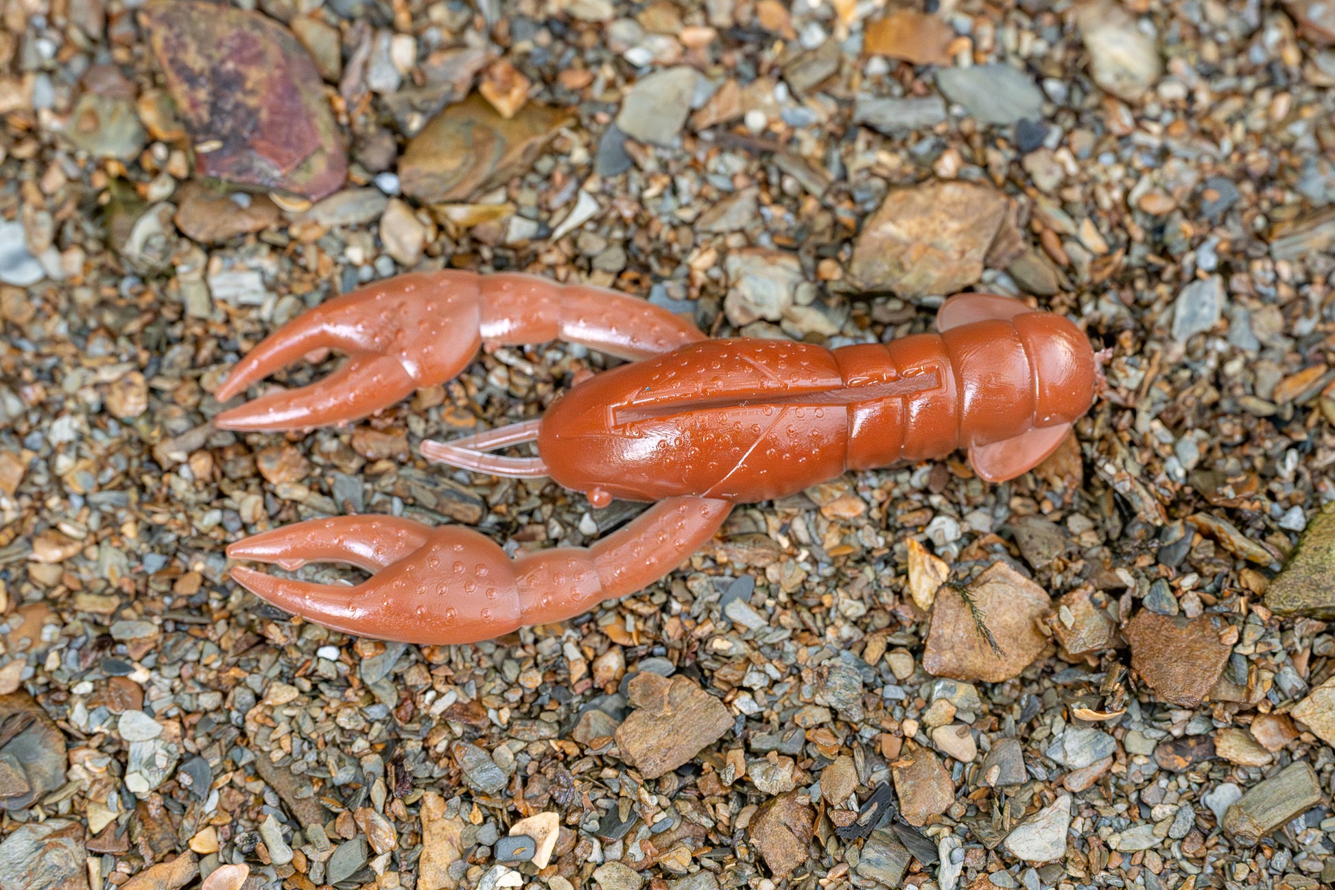 Red plastic crayfish toy on a gravel surface