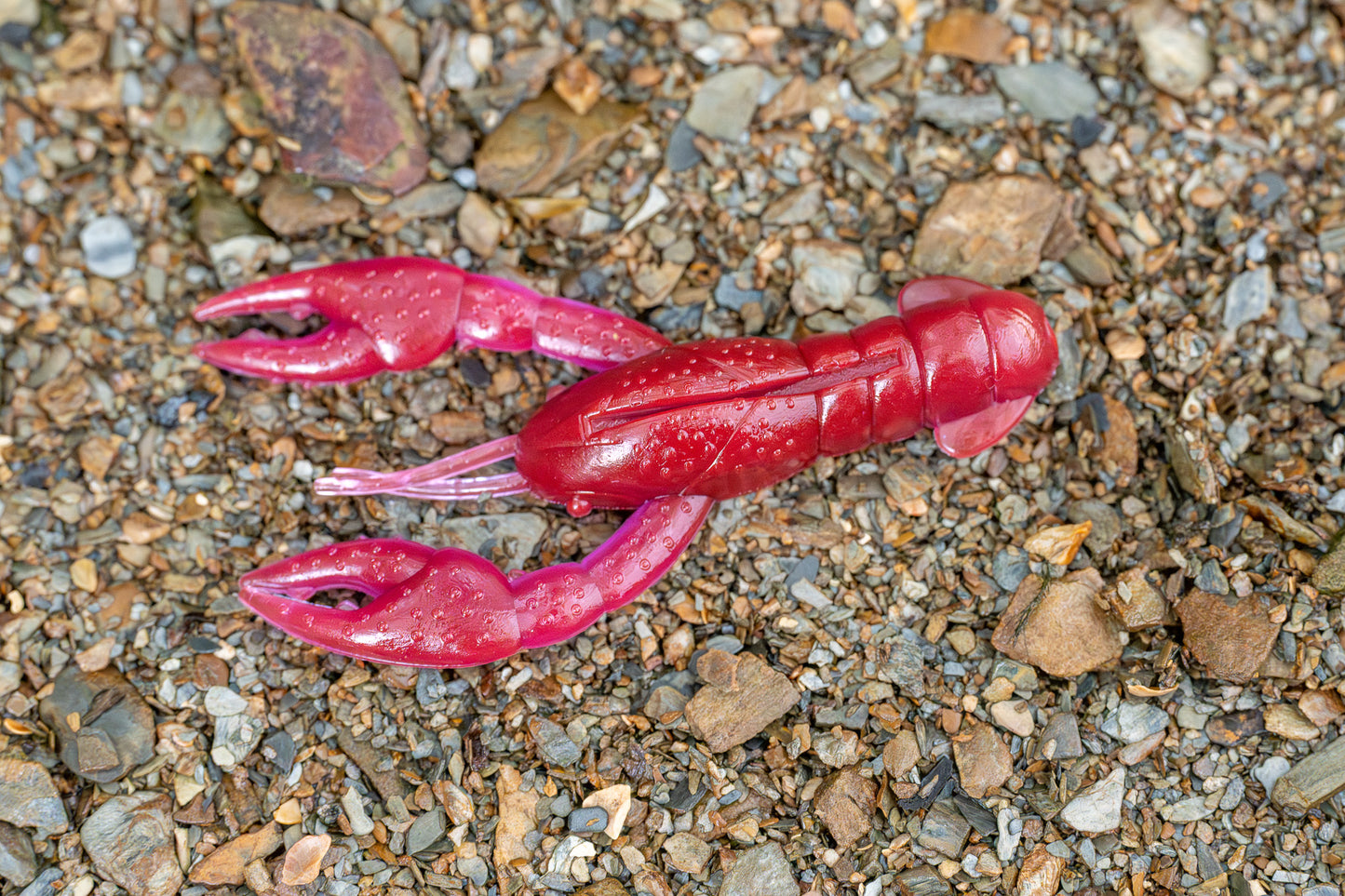 Red plastic crayfish toy on a gravel surface