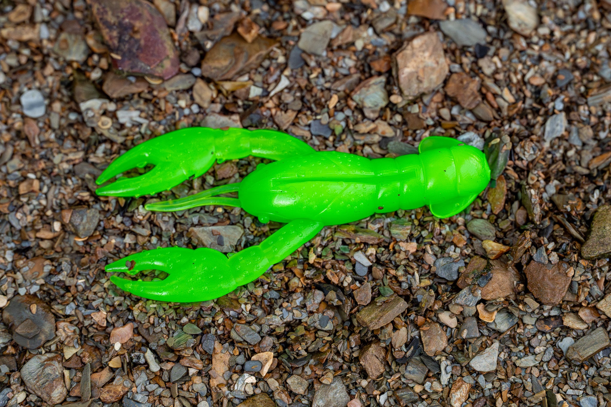 Green plastic lobster toy on a gravel surface