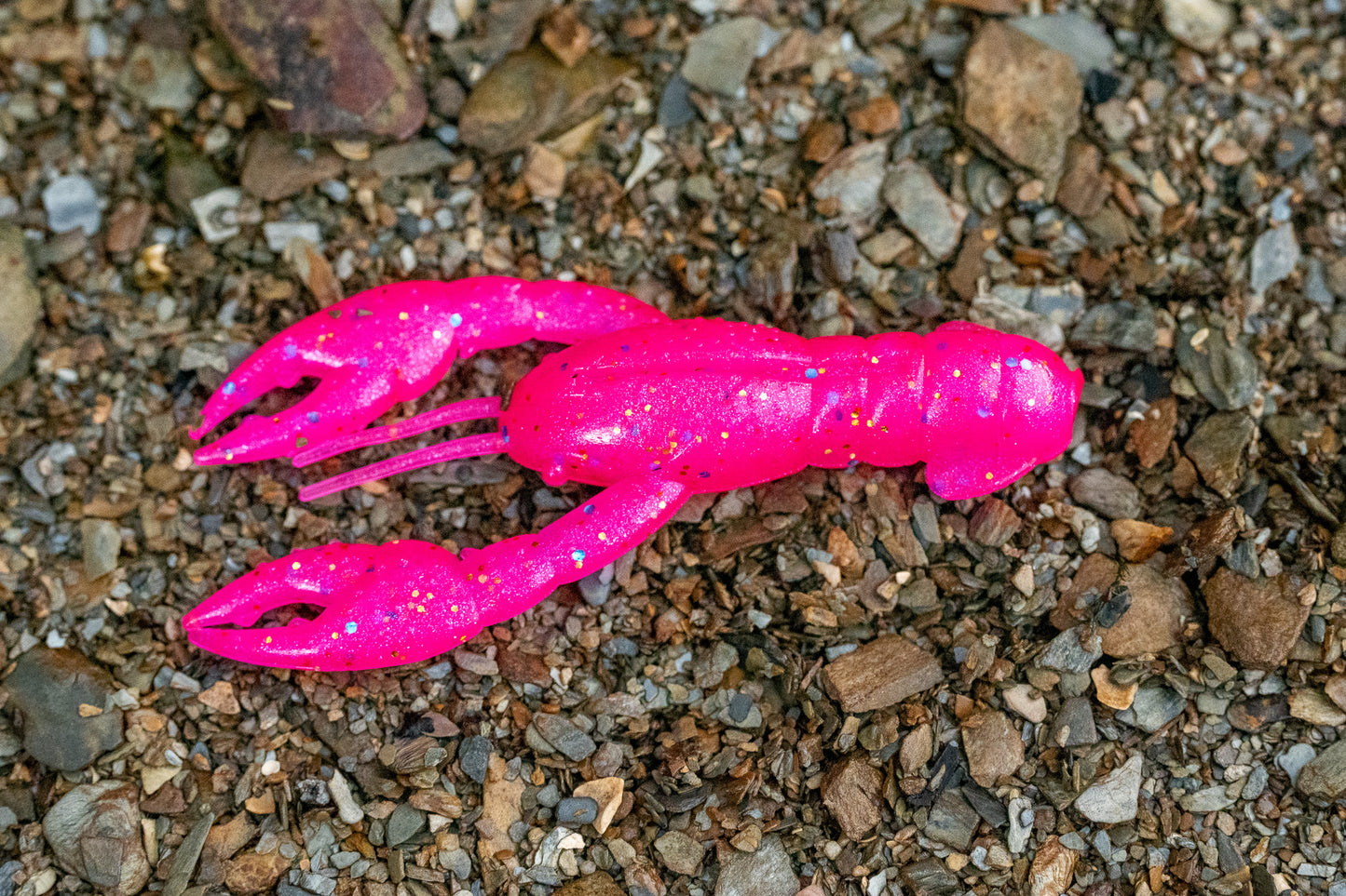 Pink plastic crawfish toy on a gravel surface