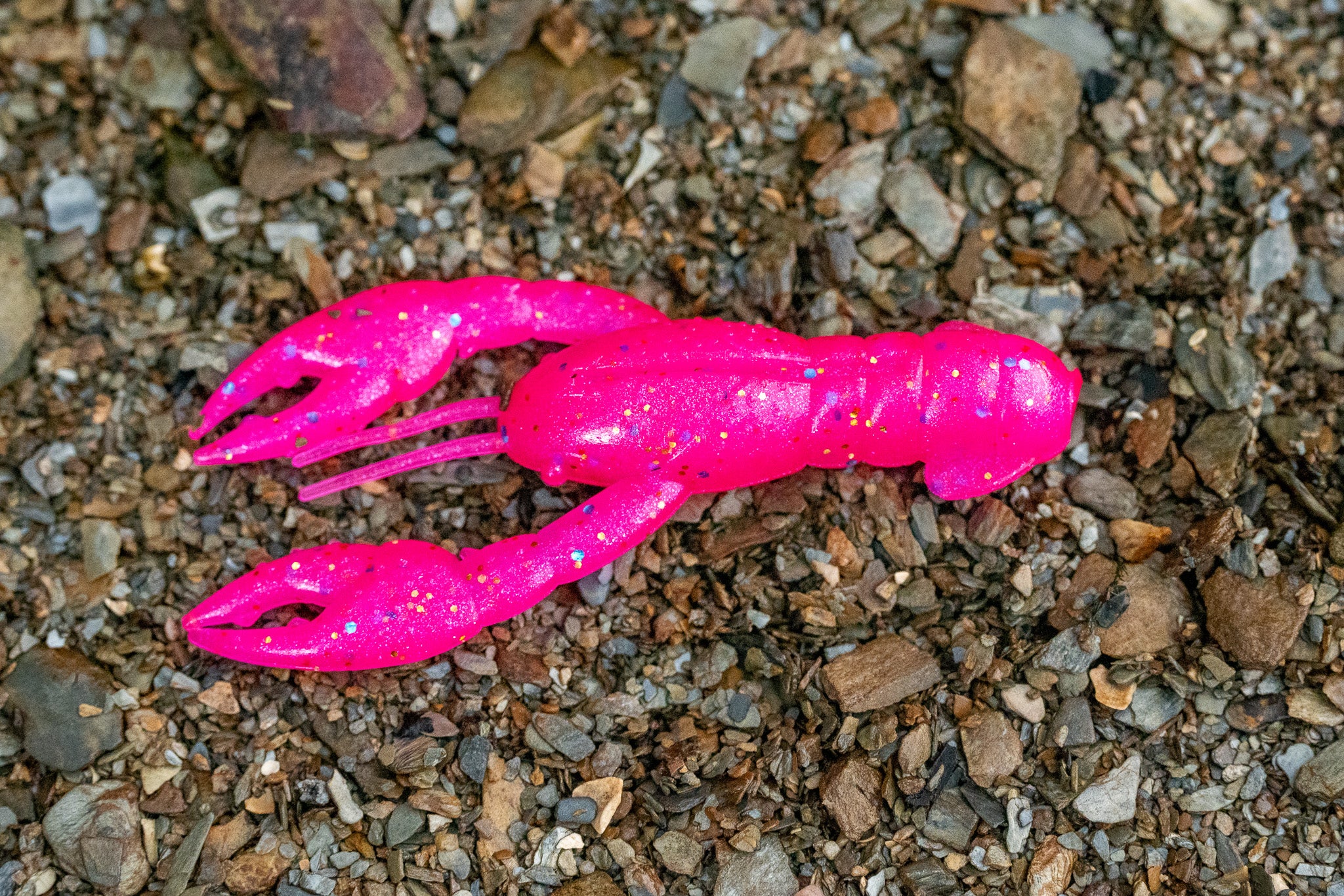 Pink plastic crawfish toy on a gravel surface
