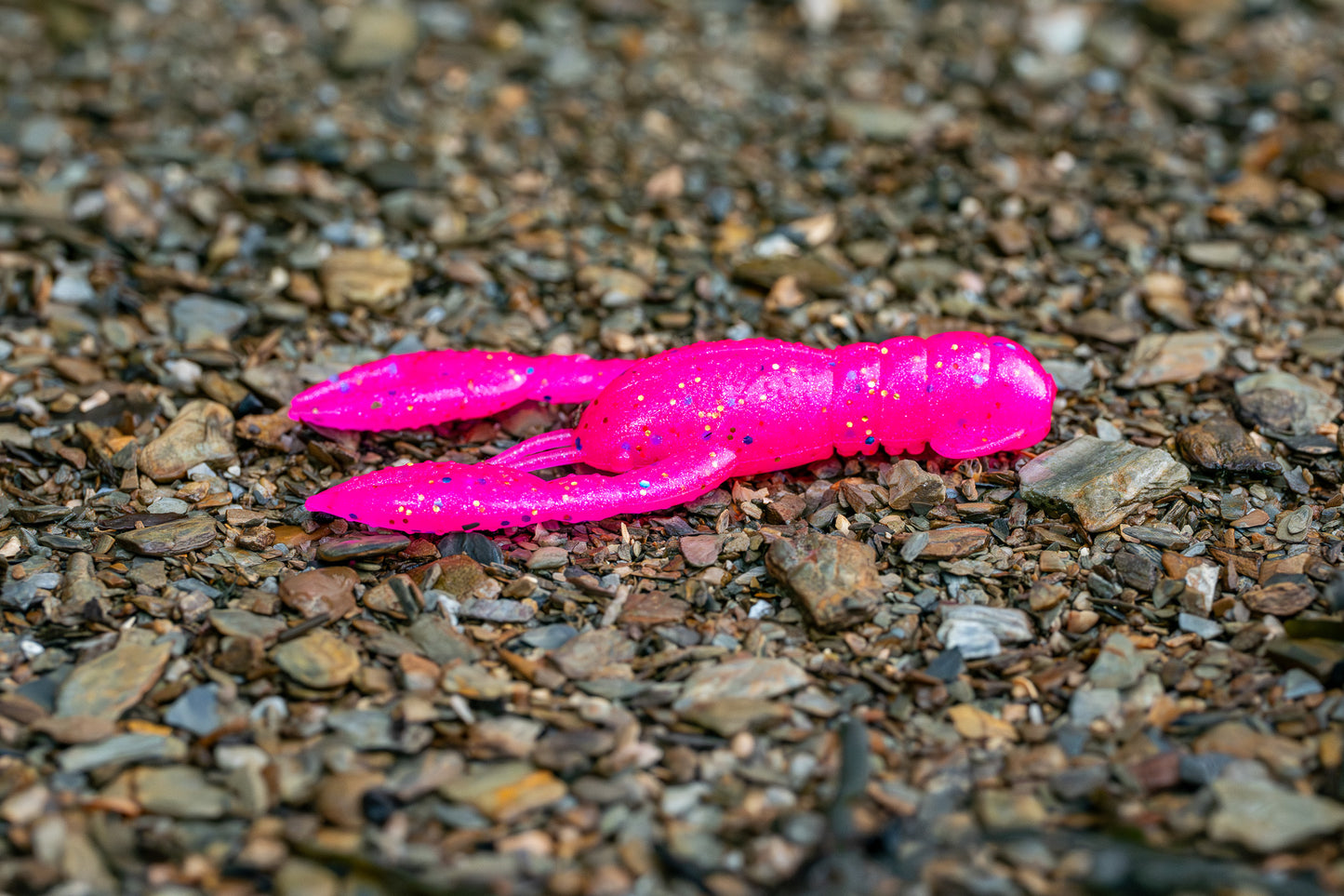 Pink plastic crawfish on a gravel surface