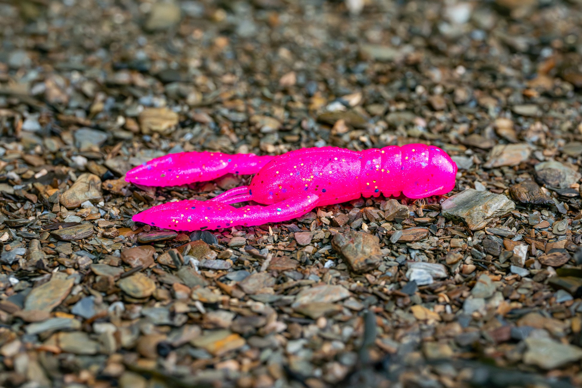 Pink plastic crawfish on a gravel surface