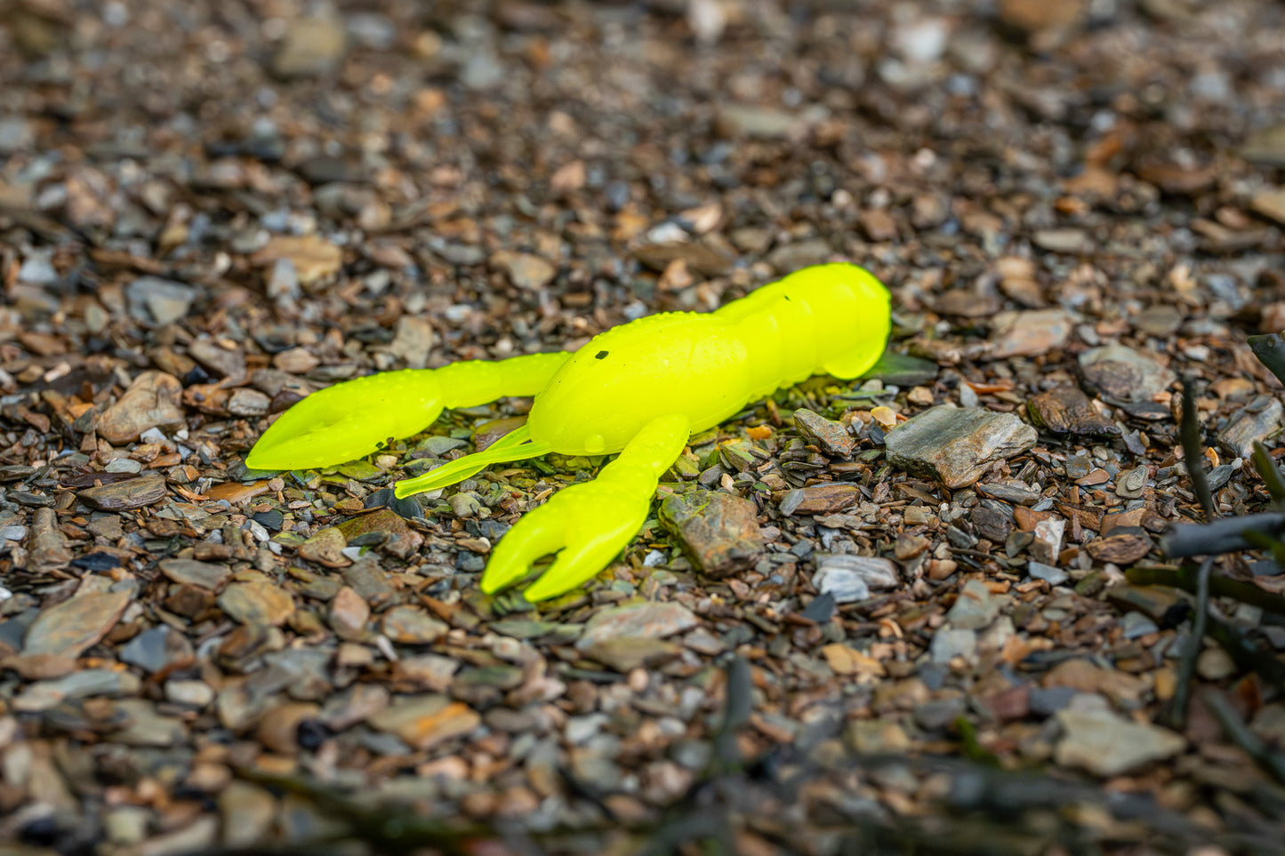 Yellow plastic crab on a gravel surface