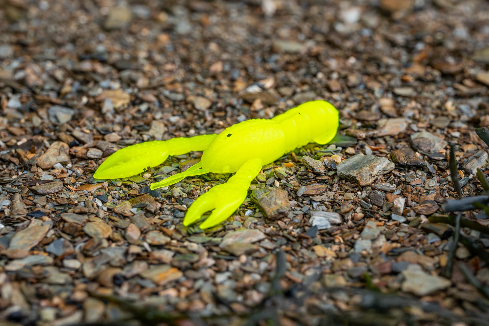 Yellow plastic crab on a gravel surface