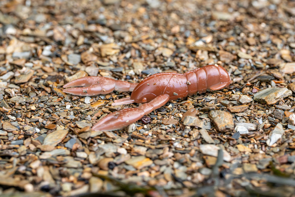 brown craw on a gravel surface