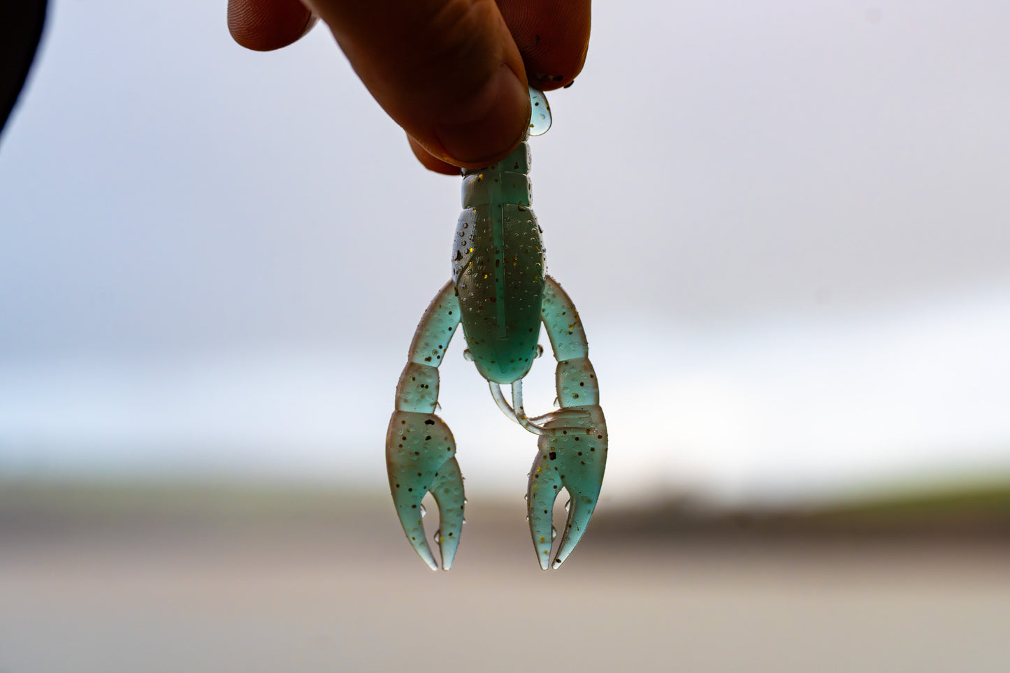 Close-up of a hand holding a green crayfish claw against a blurred background