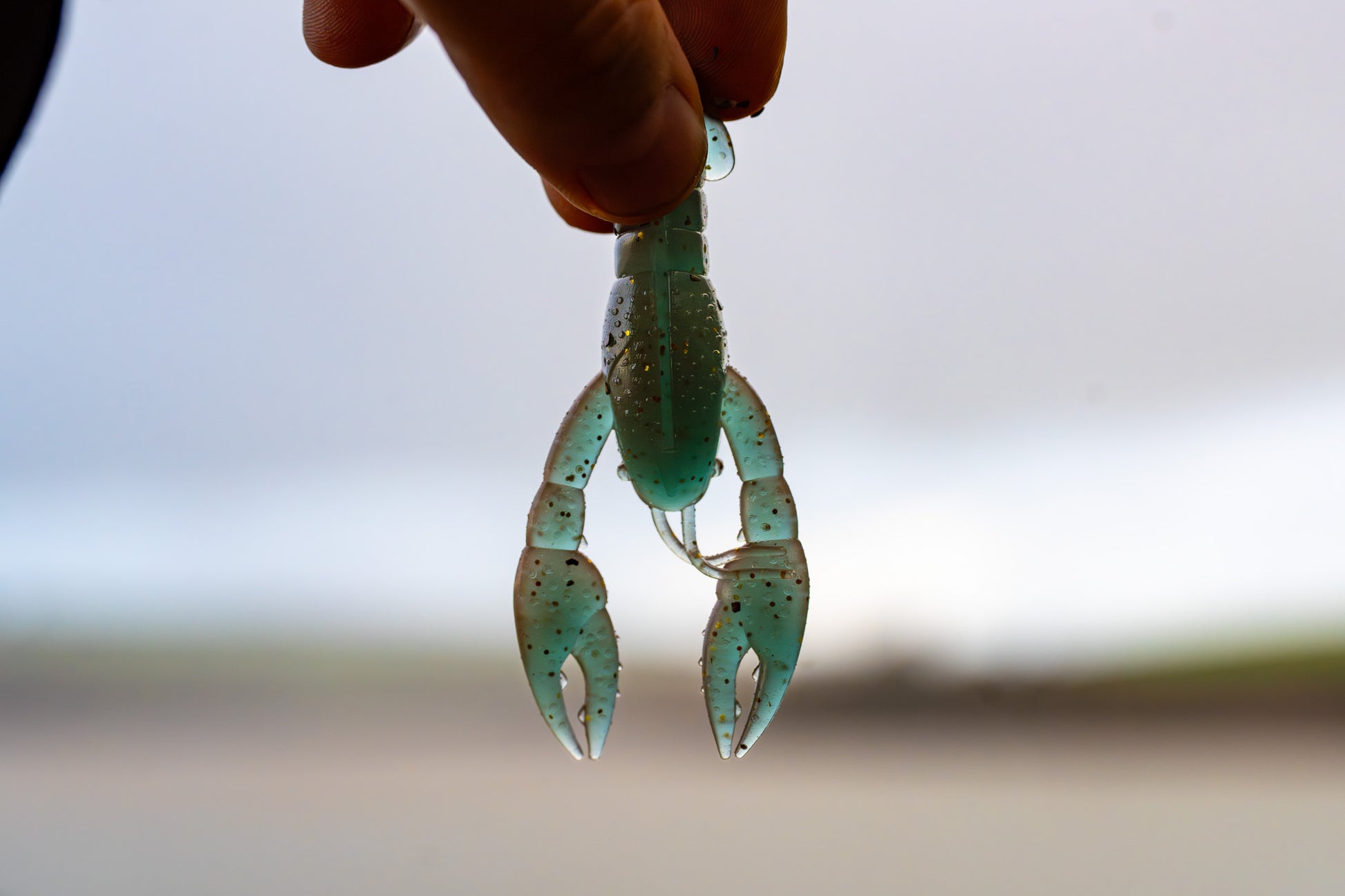 Close-up of a hand holding a green crayfish claw against a blurred background