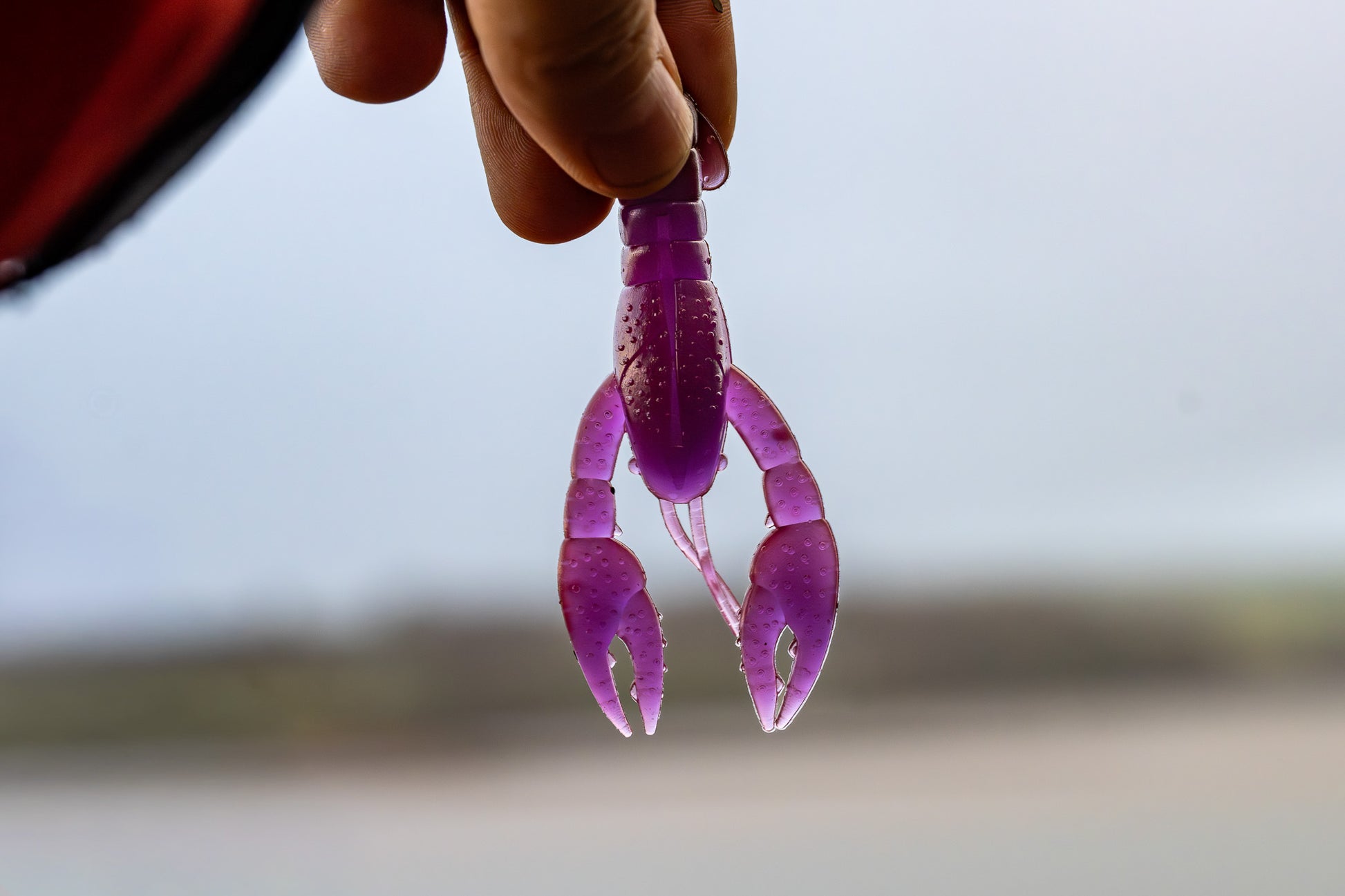 Purple plastic crab claw held by a hand against a blurred background
