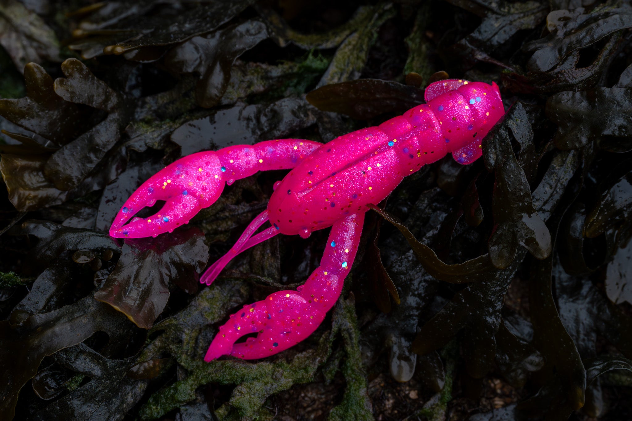 Paris pink craw