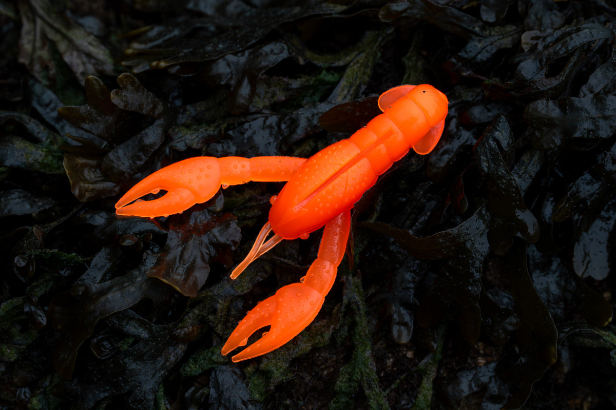 Orange plastic crab toy on dark leafy background