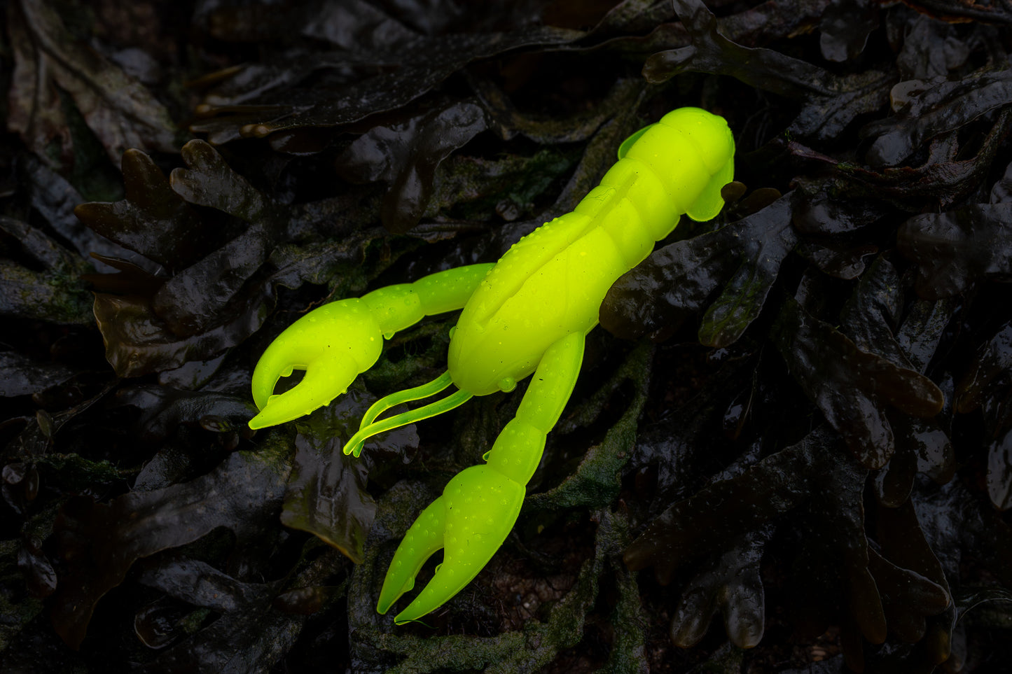 Fluorescent yellow crawfish lure on dark leafy background