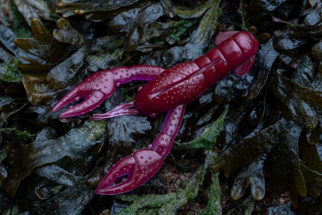 Red plastic lobster toy on a bed of seaweed
