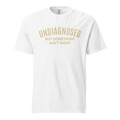 Product mockup 
Undiagnosed but something ain’t right